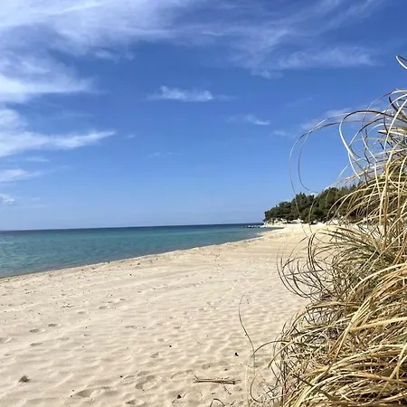 Spacious Maisonette On The Eu Blue Of In Sithonia In Greece