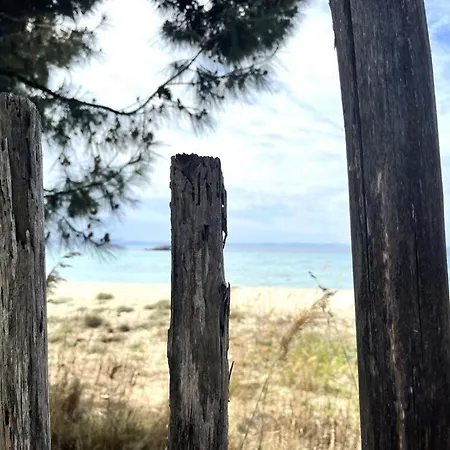 Spacious Maisonette On The Eu Blue Of In Sithonia In Greece * Kalogria (Sithonia)