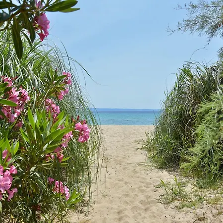Spacious Maisonette On The Eu Blue Of In Sithonia In Greece Nyaraló *